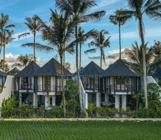 Виллы в сердце Убуда: панорама трёх вулканов и рисовых террас каждый день